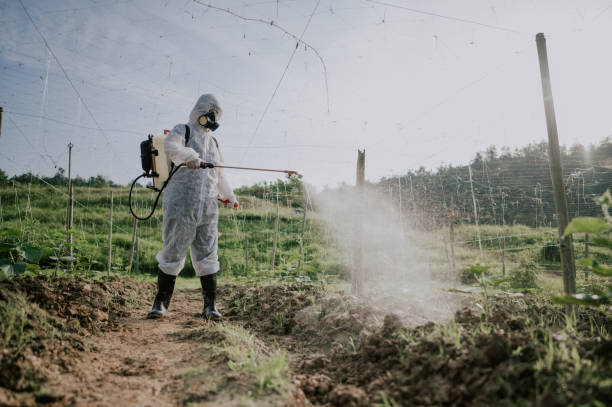 Best Commercial Pest Control Services  in Terre Hill, PA