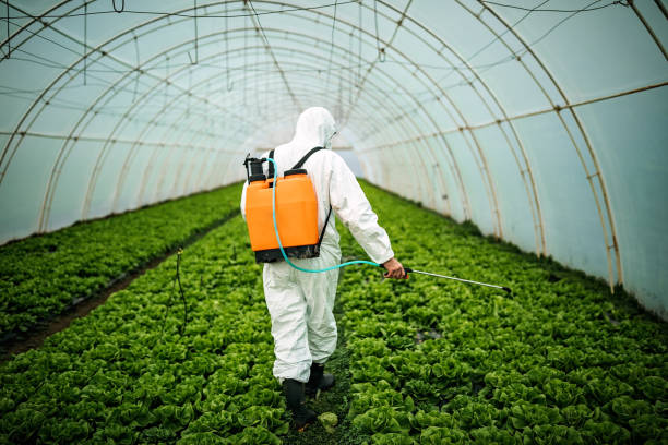 Best Local Pest Control Services  in Terre Hill, PA