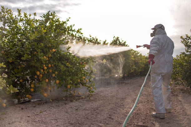 Best Exterminator Services  in Terre Hill, PA