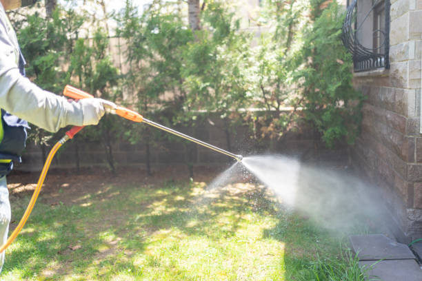 Flea Control Services in Terre Hill, PA