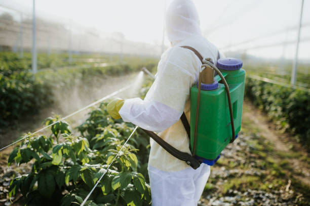 Best Pest Inspection Near Me  in Terre Hill, PA
